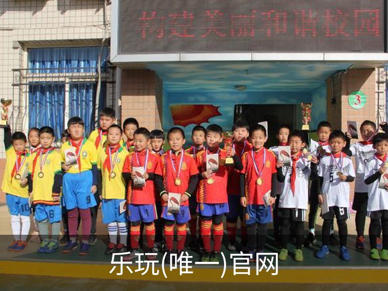 乐玩(唯一)官网概况
